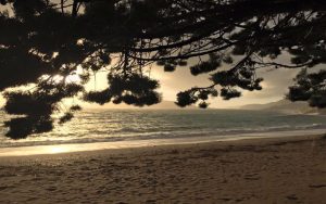 La Suerte , Kamenovo